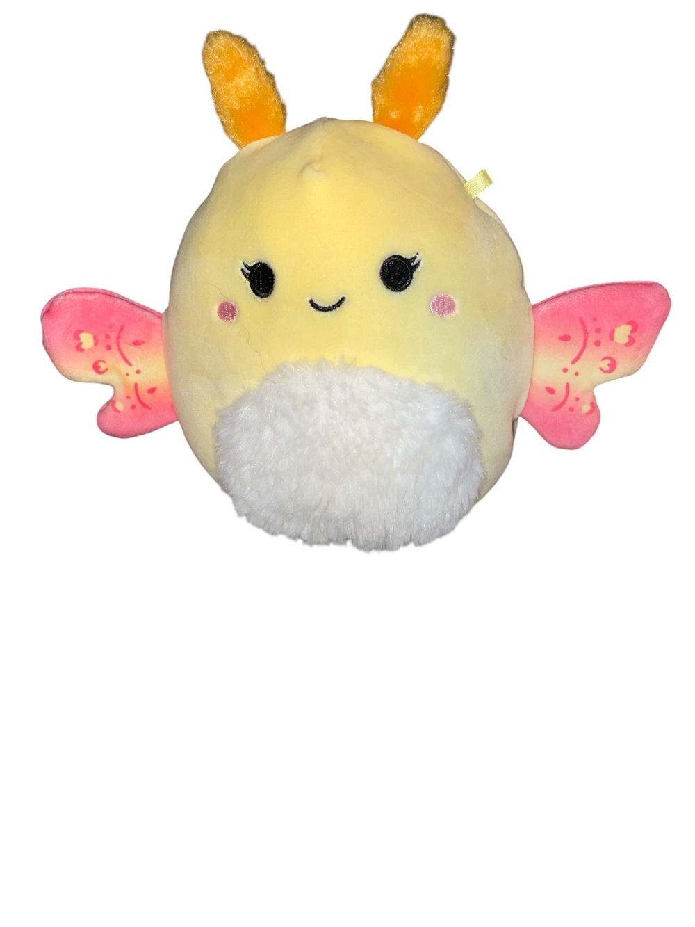 Miry the Moth Squishmallow